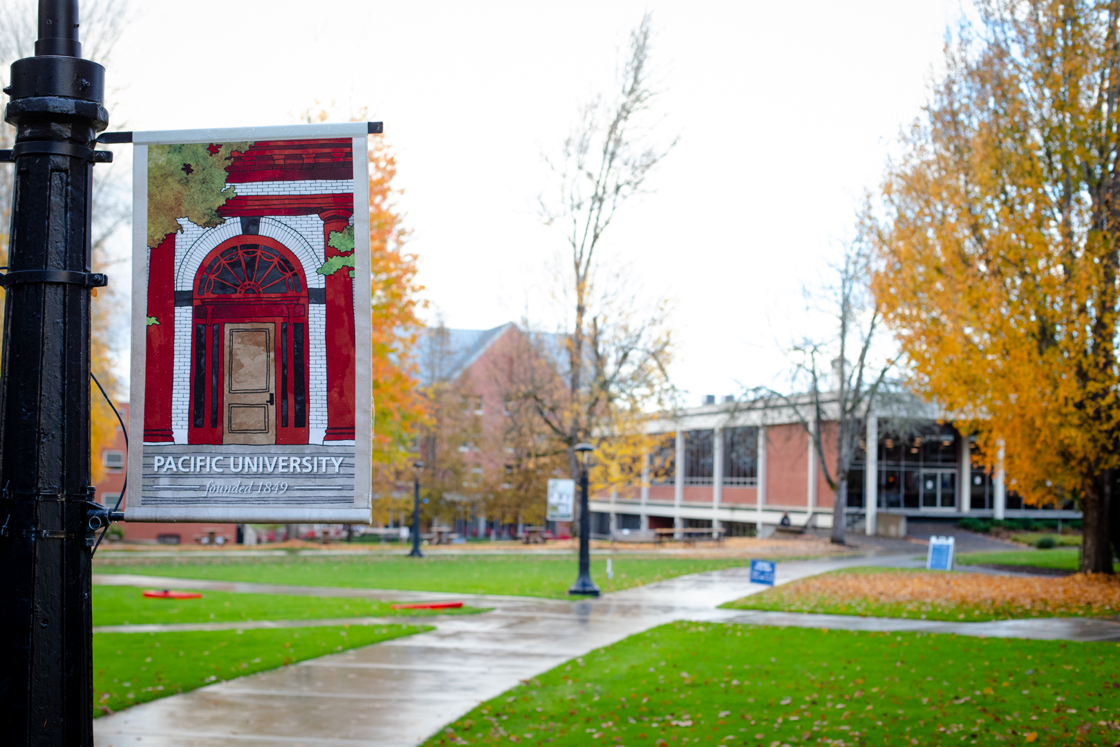 Campus banner featuring a watercolor illustration of Carnegie Hall.