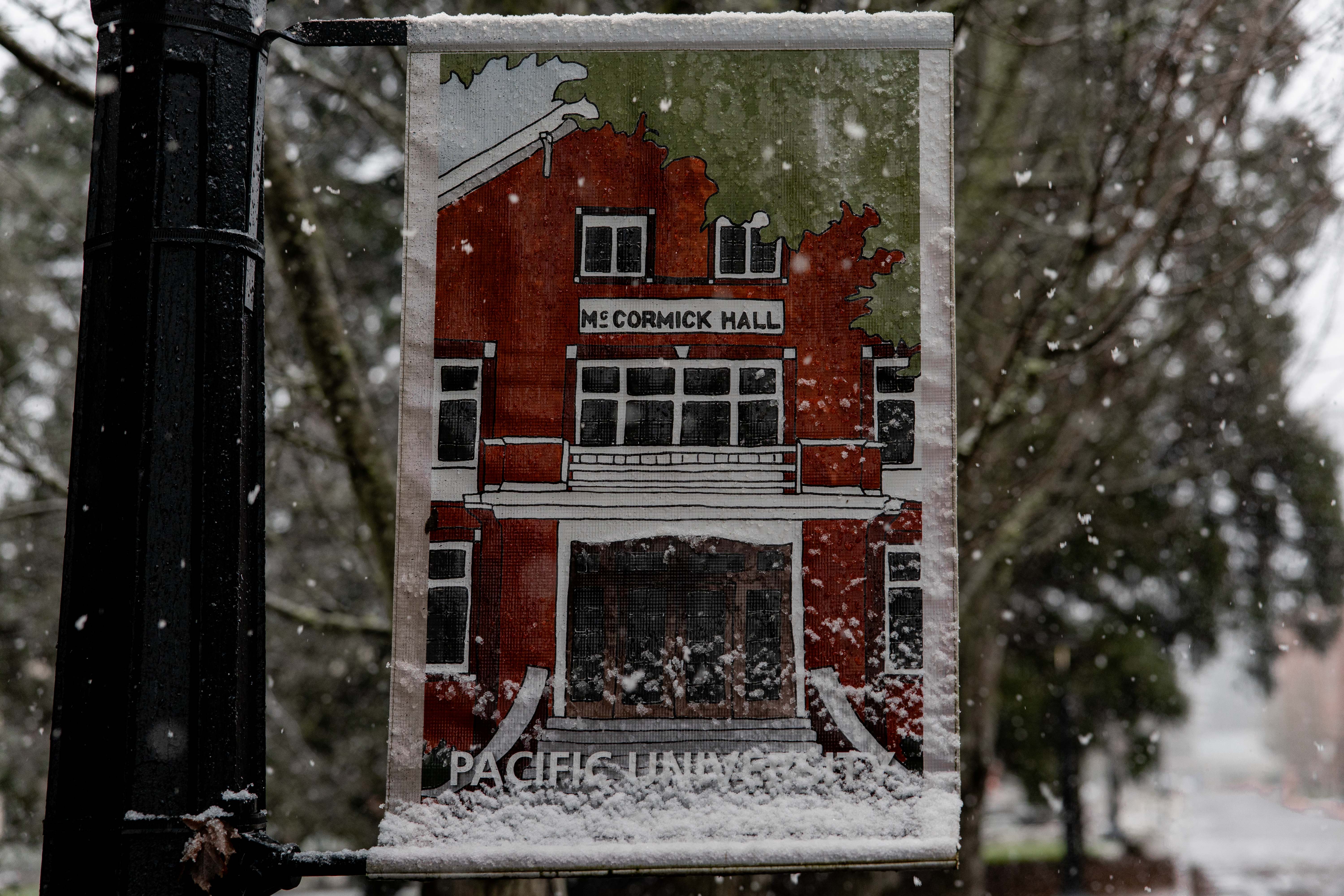 Campus banner featuring a watercolor illustration of McCormick Hall.