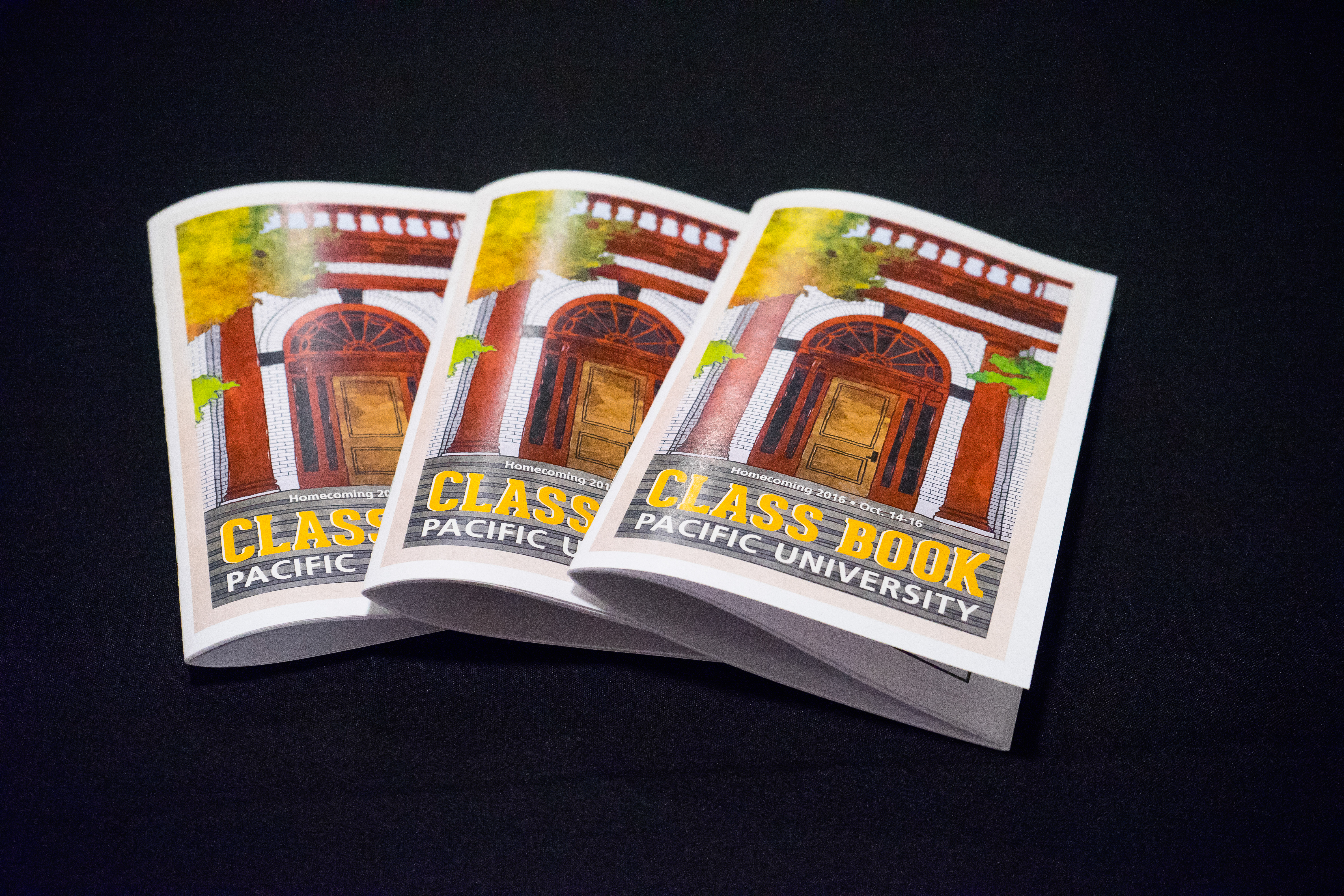 Photo of a stack of Class Books, each with a watercolor illustration of Carnegie Hall on the cover.